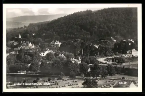 AK Sauerbrunn /Bgld., Teilansicht mit Strassenpartie