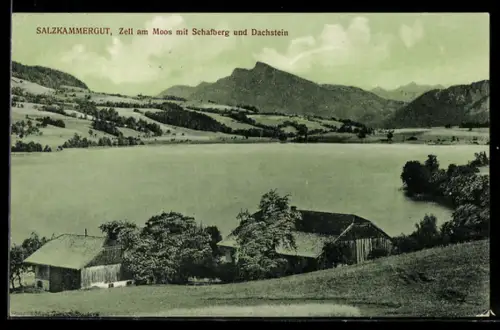 AK Zell am Moos, Salzkammergut, Panorama mit Schafberg und Dachstein