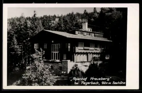 AK Payerbach, Alpenhof Kreuzberg
