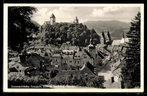 AK Friesach /Kärnten, Teilansicht der Sommerfrische