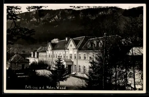 AK Felbring a. d. Hohen Wand, Ortspartie