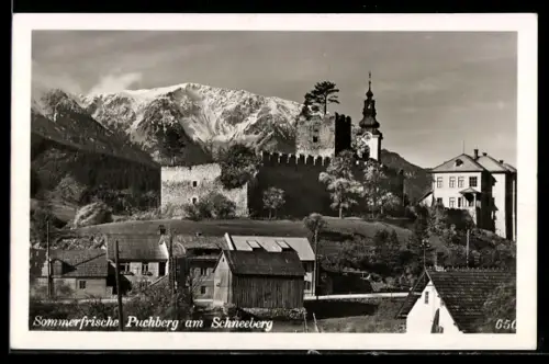 AK Puchberg, Burgruine mit Bergpanorama