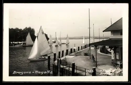 AK Bregenz, Regatta