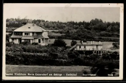 AK Maria Enzersdorf am Gebirge, Griesshübel, Pension Vindobona und Dependance