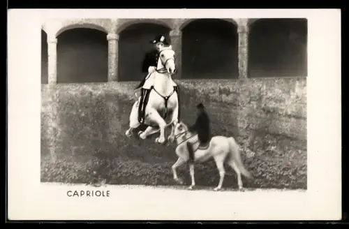 AK Wien, Spanische Hof-Reitschule, Capriole