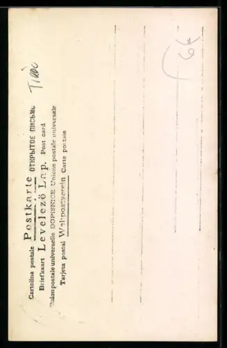 AK Hall i. T., Muenzerturm