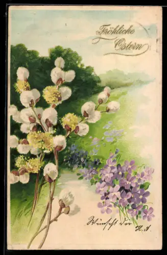 AK Weidenkätzchenzweige, Vergissmeinnicht, Fröhliche Ostern!