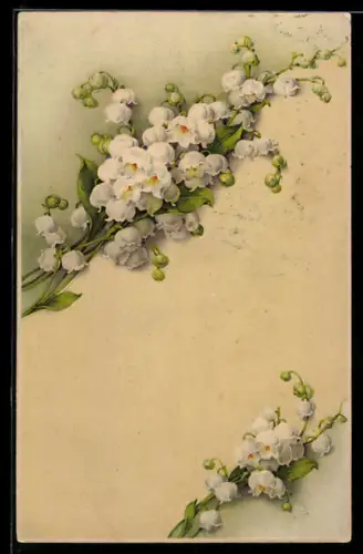 AK Maiglöckchen in voller Blüte