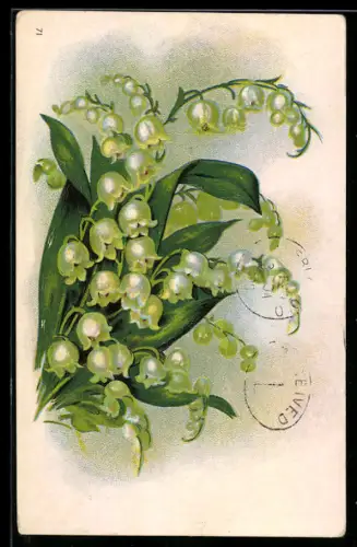 Präge-AK Prachtvolle Maiglöckchen verkünden den Frühling