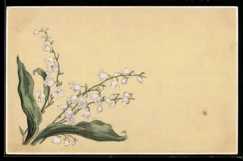 AK Maiglöckchen-Zweige vor hellem Hintergrund