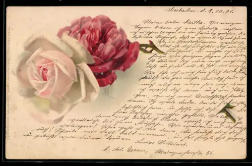 AK Zwei Rosen in voller Blüte