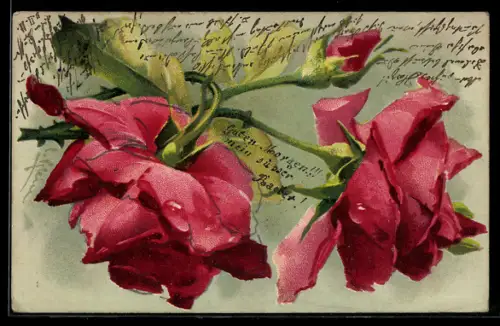 Künstler-AK Catharina Klein: schön blühende Rosen, offen und Knospen