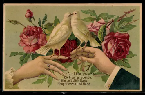 AK Weisses Taubenpaar vor Rosen auf Händen sitzend