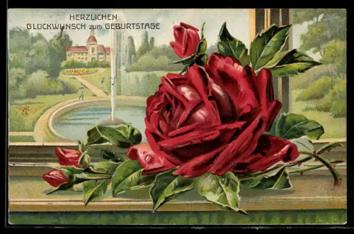 Präge-AK Rose in voller Blüte auf einem Fensterbrett