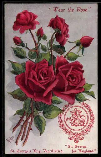 AK Rosenstrauss in voller Blüte