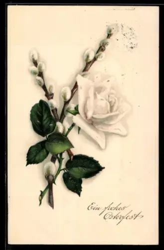 Präge-AK Weisse Rose in voller Blüte