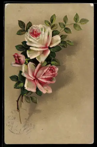 Präge-AK Erblühende Rosen in weiss und rot