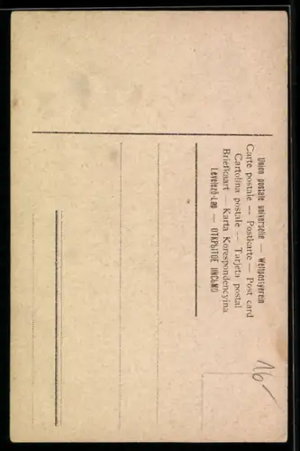 AK Rote Rose in voller Blüte