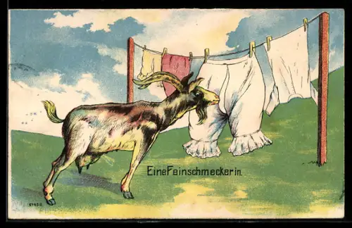 Künstler-AK Erotik, Ziege frisst Unterhose auf der Wäscheleine