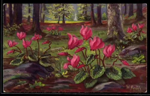 Künstler-AK Blühende Alpenveilchen im Wald