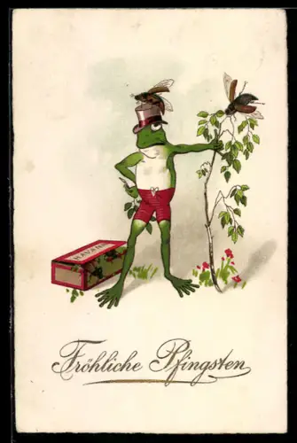 AK Maikäfer landet auf dem Hut eines Frosch-Mannes