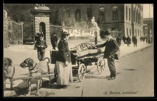 AK Berlin, Berliner Typen, ff. Messina, zuckersüss!, Waren auf Wagen m. Schlittenhunden
