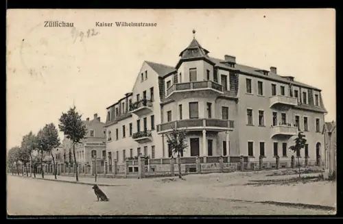 AK Züllihau, Partie in der Kaiser Wilhelmstrasse mit Villa und Hund auf der Strasse