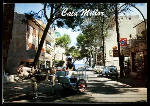 AK Cala Millor, Eselkarren und Autos auf Promenade mit Pinien und Meerblick