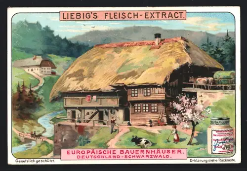 6 Sammelbilder Liebig, Serie Nr. 807: Europäische Bauernhäuser, Wales, Bretagne, Russland