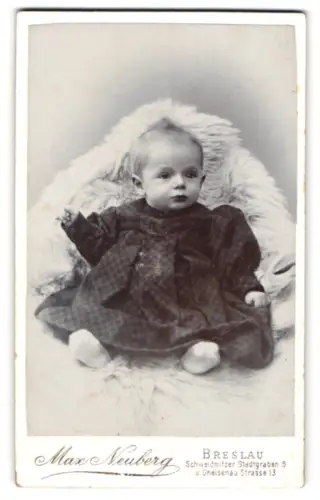 Fotografie Max Neuberg, Breslau, Schweidnitzer Stadtgraben 9, Porträt eines kleinen Kindes