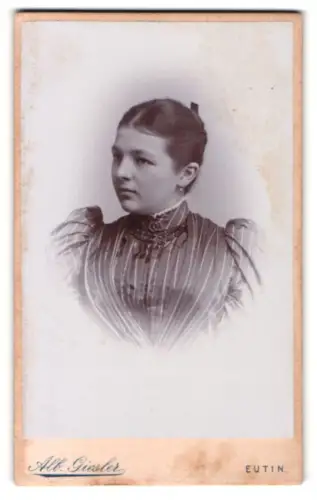 Fotografie Alb. Giesler, Eutin, Kielerstrasse 6, Leoni im gestreiften Kleid