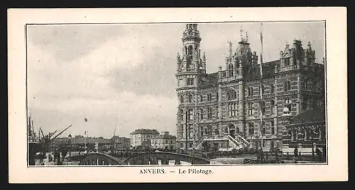 Mini-AK Anvers, Le Pilotage