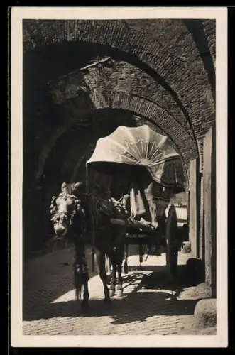 AK Roma, Via S. Giovanni e Paolo, Caratteristico carro da vino