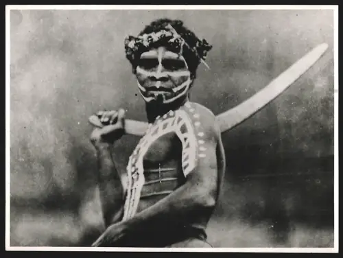 Fotografie Australischer Jäger auf der Palmen Insel