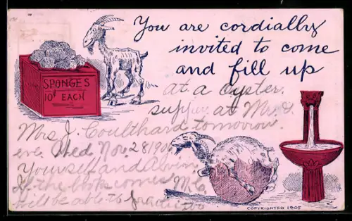 AK Ziege vor und nach dem Verspeisen von Schwämmen