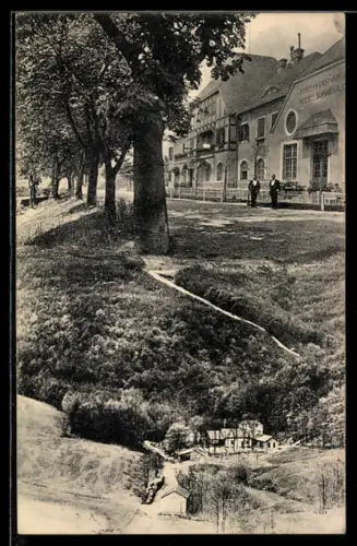 AK Sofienalpe im Wienerwald, Gasthaus-Meierei Sofienalpe F. Wagner, Baumallee, Sofienalpe