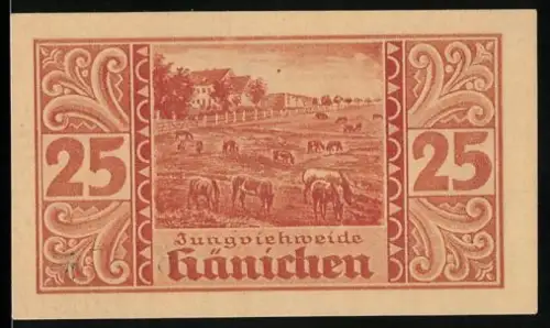 Notgeld Harzgerode, 25, Jungviehweide und Stadtwappen mit Türmen und Löwen