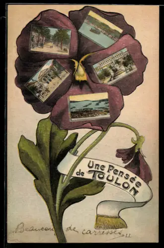AK Toulon, Vue Générale dans une Fleur