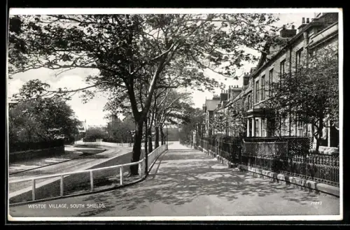 AK Westoe Village, South Shields, Baumgesäumte Strasse mit Reihenhäusern