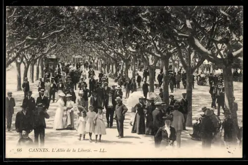 AK Cannes, L`Allée de la Liberté