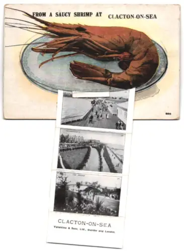 Leporello-AK Clacton-on-Sea, Pier and Bridge, Promenade, View from Pier, Pier Avenue, Band Pavilion, Saucy Shrimp