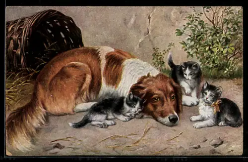 AK Kätzchen sitzen neben einem Hund, Tierfreundschaft