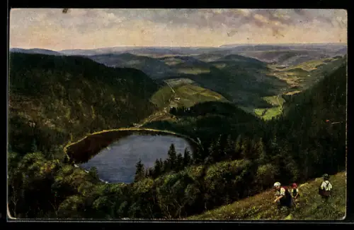 Künstler-AK H. Hoffmann: Feldberg Seebucht, Blick auf den Feldsee