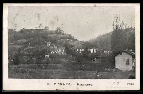 AK Torino, Fioccardo, Panorama