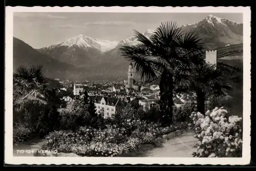 AK Merano, Vista panoramica con palme e montagne innevate
