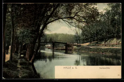 AK Halle a. S., Saalepartie mit Brücke