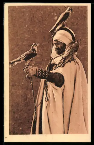 AK Fauconnier, Falkner aus Nordafrika