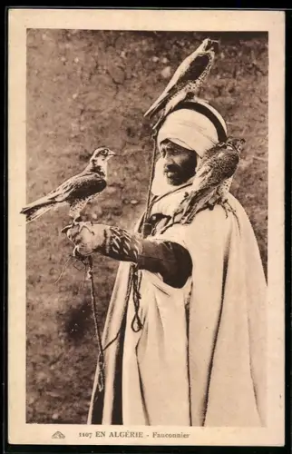 AK Algerien, Fauconnier