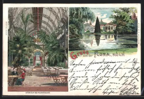 Lithographie Köln-Riehl, Interieur des Palmenhauses, Weiher in Wellingtonia i. d. Flora