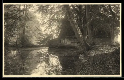 AK Eckernförde, Fachwerkhaus am Wasser, Waldlandschaft